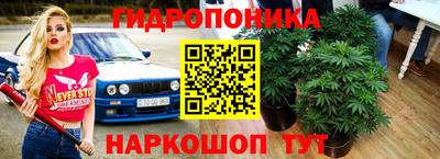 spice Апрелевка