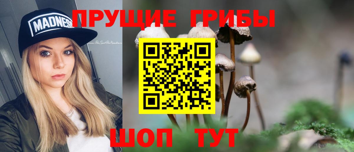 Псилоцибиновые грибы мухоморы  Вход с VPN  Ачхой-Мартан 
